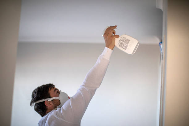 Best Mold Removal Near Me  in Lovell, WY