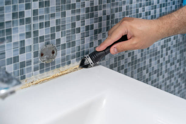 Best Mold Removal Near Me  in Lovell, WY